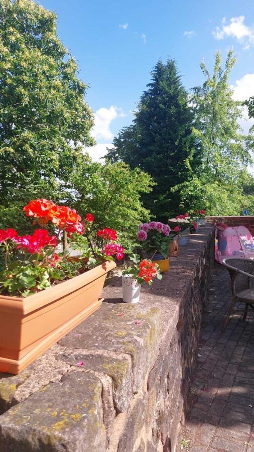 Privat Appartment Fockelberg Exteriör bild